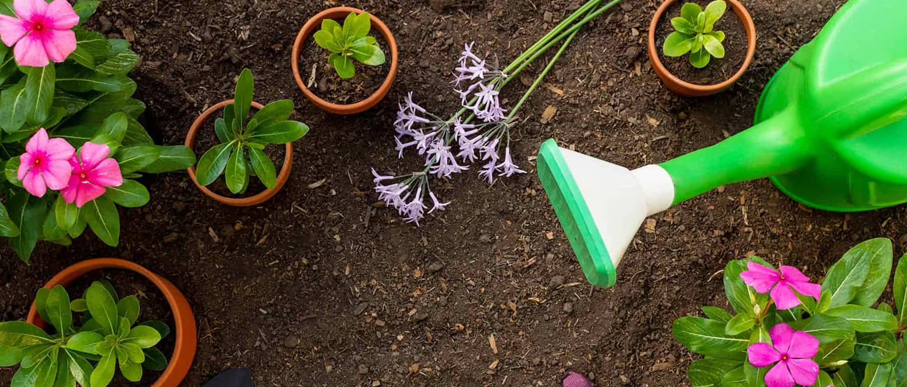 The Best Garden Centres and Plant Nurseries in Johannesburg