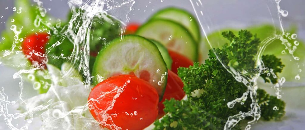 Food Manufacturing Companies in South Africa