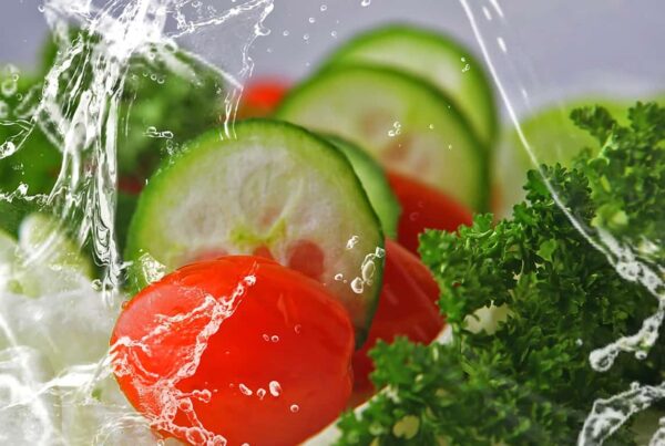 Food Manufacturing Companies in South Africa