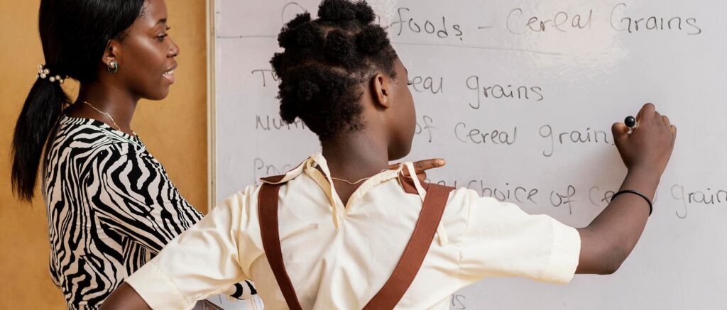 Government Schools in Gauteng, Johannesburg