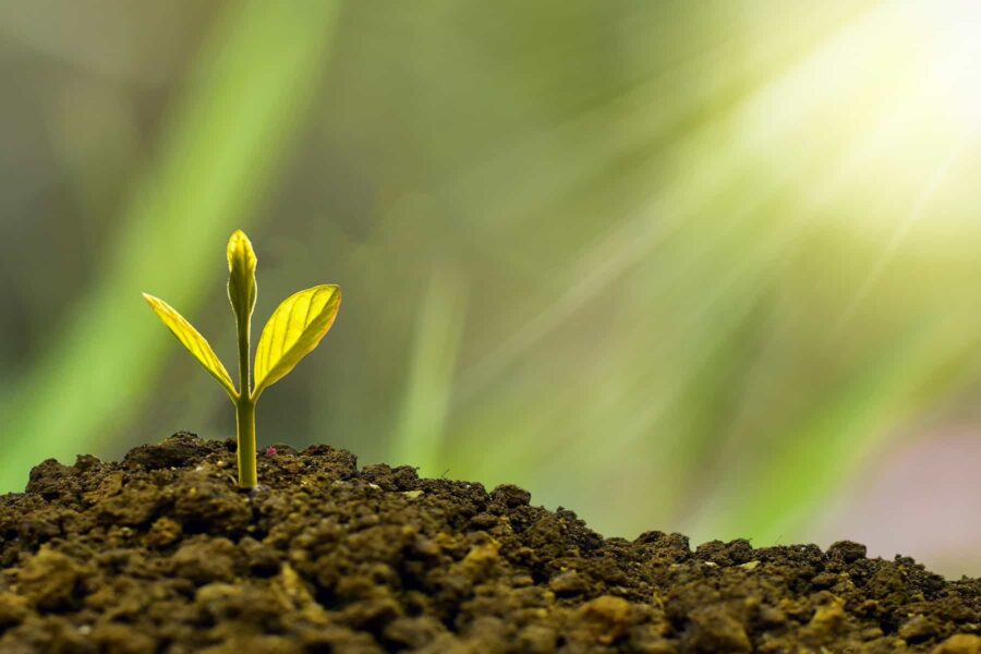 Top 30 investment companies in South Africa