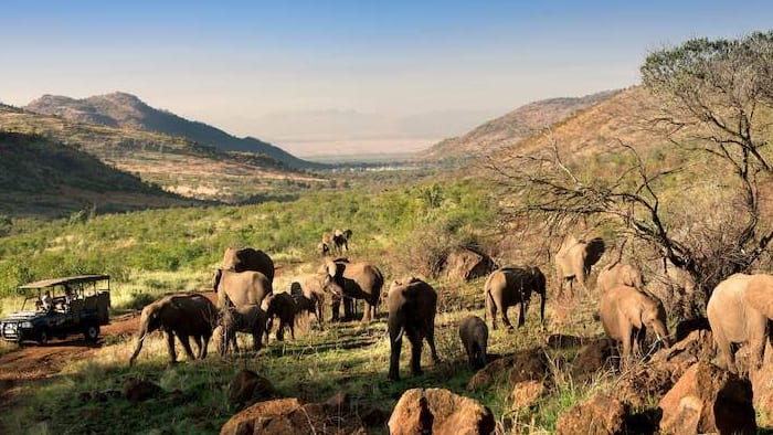 Pilanesberg National Park