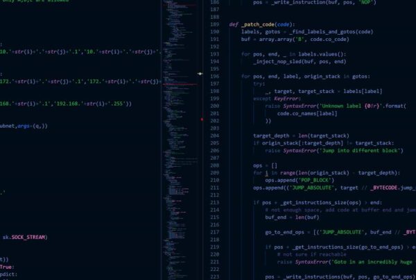Remote App Developers in South Africa