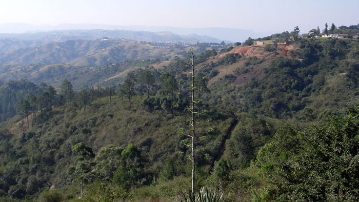 The Valley of A 1000 Hills