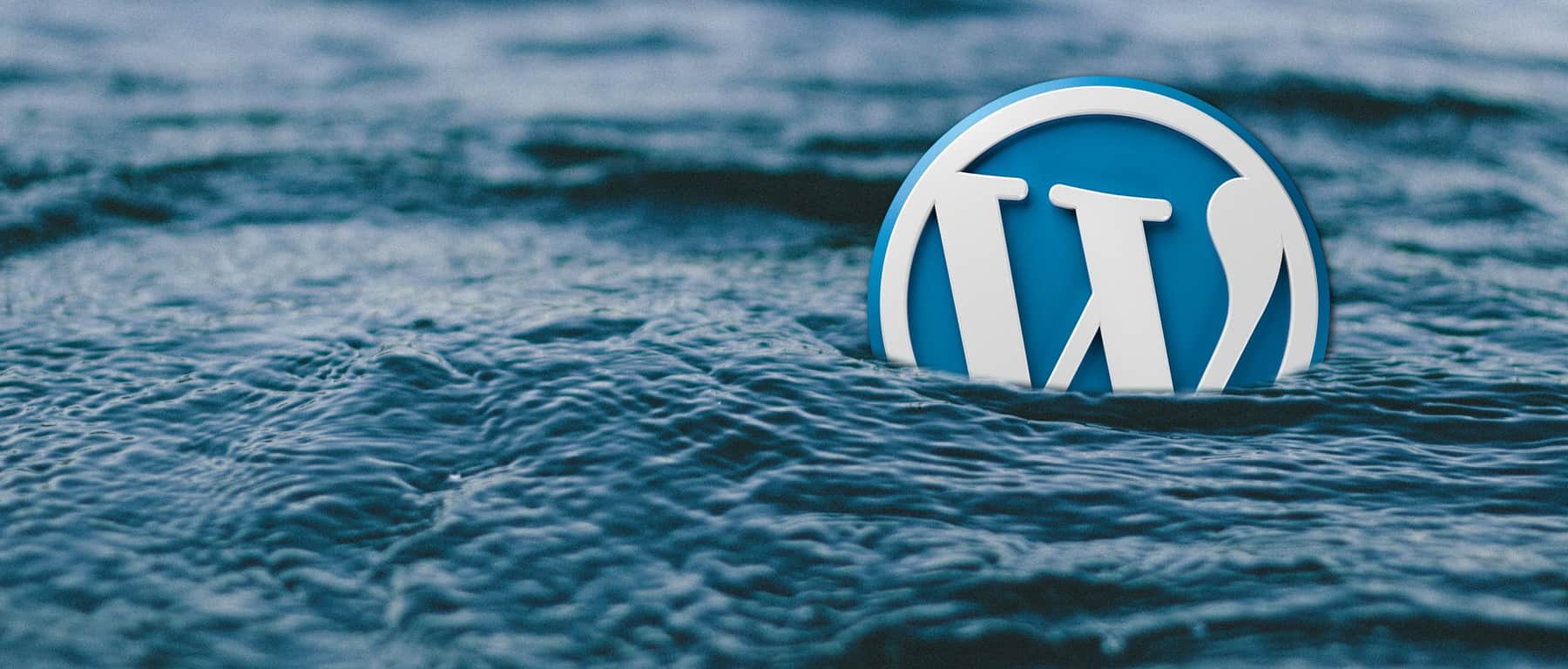 Tips on How to Choose a WordPress Development Company