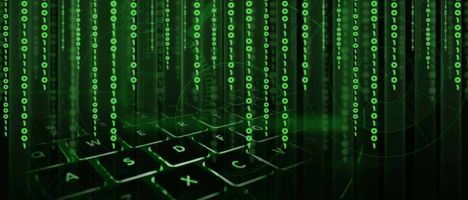 Are You Currently Looking for Best WordPress Plugin Developers?