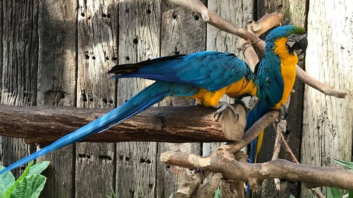 World of Birds Wildlife Sanctuary